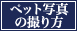 ybgʐ^̎B